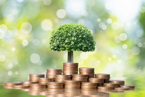 Young Plant Grow,And Coins Stack Pension Fund
